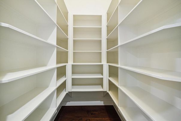 Interior, Walk-in Closets, Wood Texture Flooring
