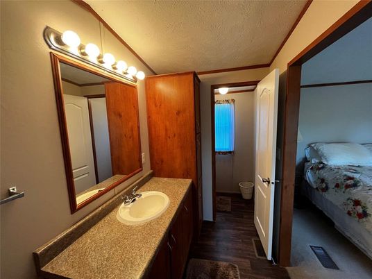 Bathroom, Bedroom, Interior, Wood Texture Flooring