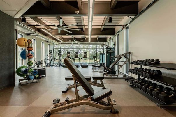 Fitness Equipment, Gym, Interior, Wood Texture Flooring
