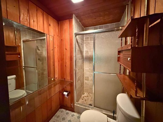 Bathroom, Glass Shower, Interior, Wooden Walls