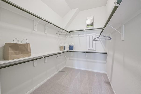 Interior, Walk-in Closets, Wood Texture Flooring