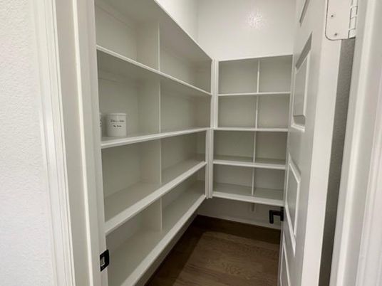 Interior, Walk-in Closets, Wood Texture Flooring