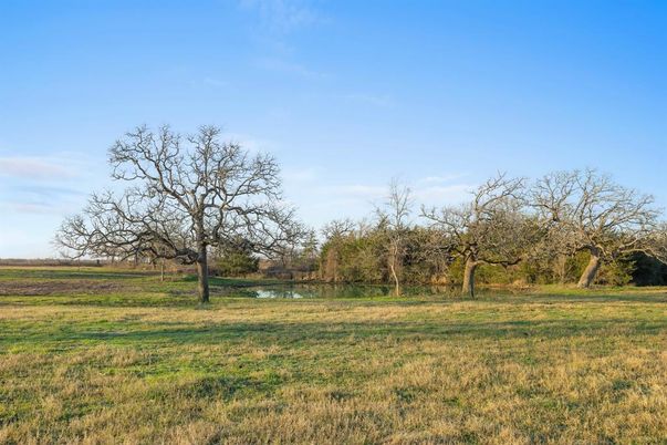 Backyard, Exterior, Lake