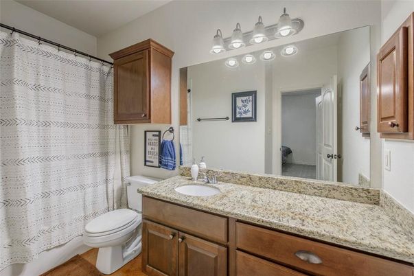 Bathroom, Dual Sink Vanities, Interior, Wood Texture Flooring