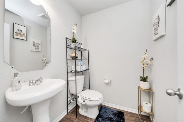 Bathroom, Interior, Wood Texture Flooring