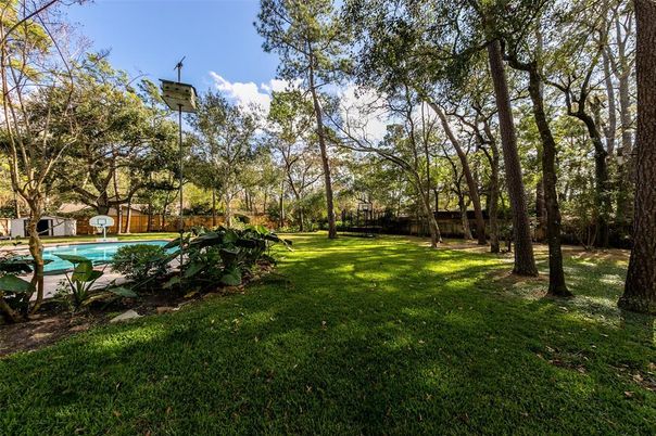 Backyard, Exterior, Pool