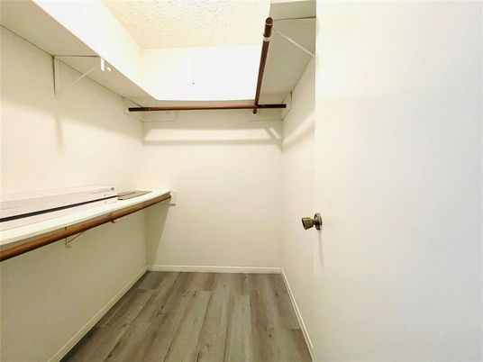 Interior, Walk-in Closets, Wood Texture Flooring