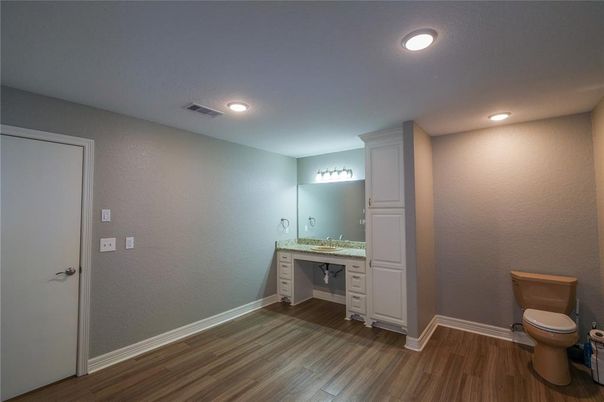Bathroom, Interior, Recessed Lighting, Wood Texture Flooring