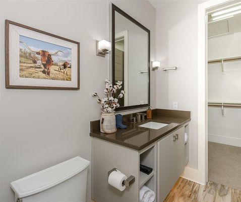 Bathroom, Interior, Wood Texture Flooring