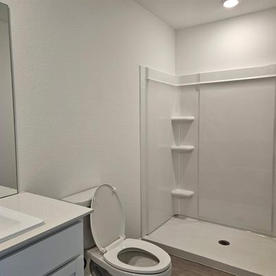 Bathroom, Interior, Recessed Lighting, Wood Texture Flooring