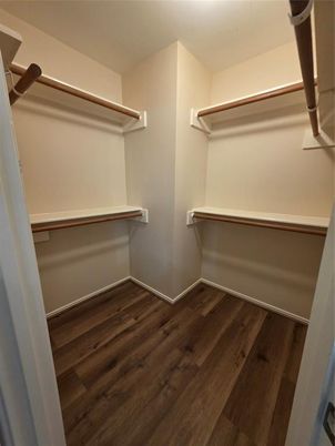 Interior, Walk-in Closets, Wood Texture Flooring