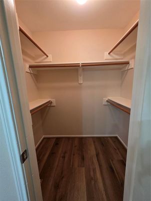 Interior, Walk-in Closets, Wood Texture Flooring
