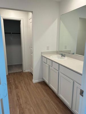 Bathroom, Dual Sink Vanities, Interior, Wood Texture Flooring