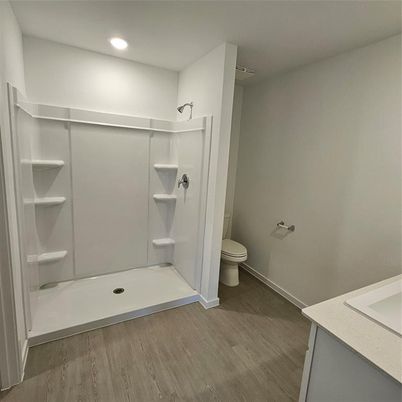 Bathroom, Interior, Recessed Lighting, Wood Texture Flooring