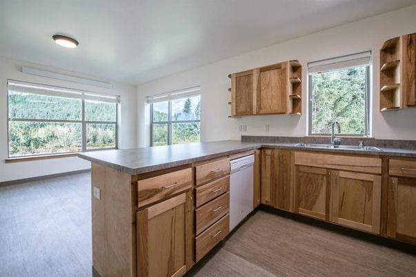 Interior, Kitchen, Wood Texture Flooring