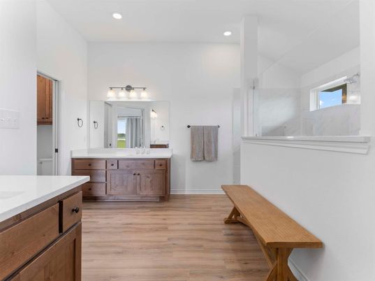 Bathroom, Interior, Recessed Lighting, Wood Texture Flooring