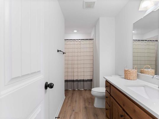 Bathroom, Interior, Recessed Lighting, Wood Texture Flooring