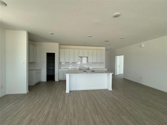 Interior, Kitchen, Recessed Lighting, Wood Texture Flooring