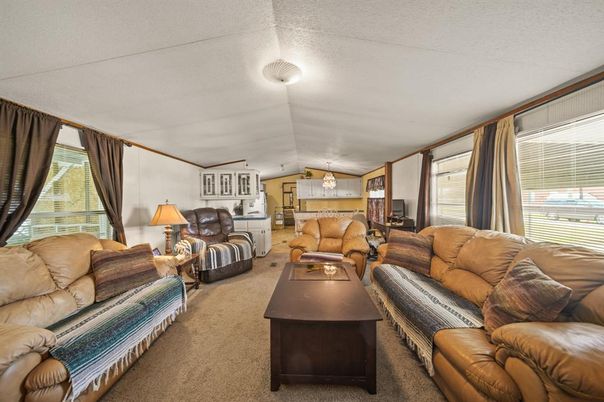 Interior, Living room, Pendant Lights