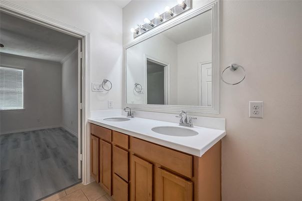 Bathroom, Dual Sink Vanities, Interior, Wood Texture Flooring