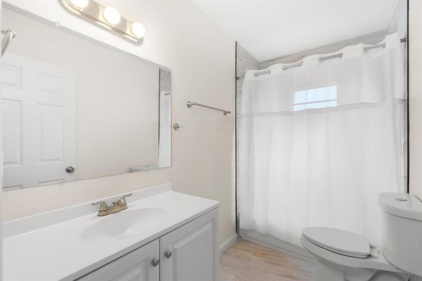 Bathroom, Interior, Wood Texture Flooring