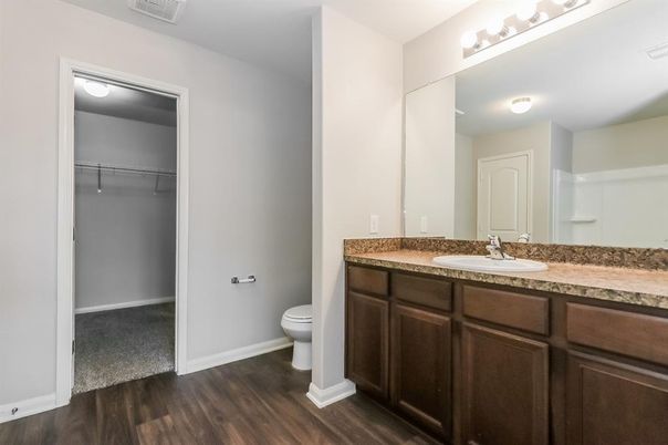 Bathroom, Interior, Walk-in Closets, Wood Texture Flooring