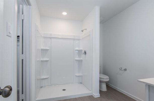 Bathroom, Interior, Recessed Lighting, Wood Texture Flooring
