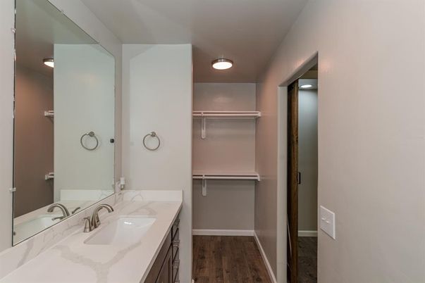 Bathroom, Dual Sink Vanities, Interior, Walk-in Closets, Wood Texture Flooring