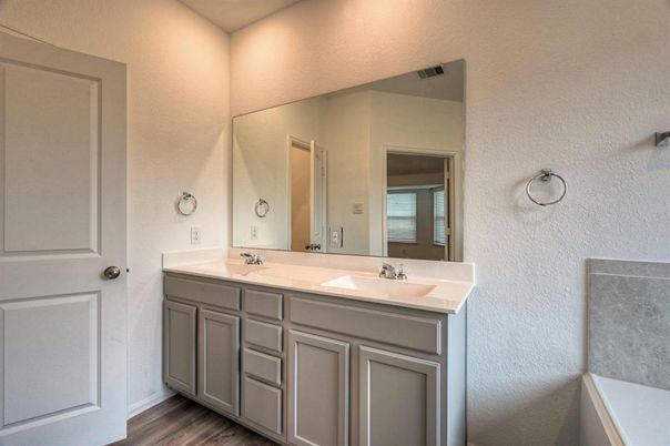 Bathroom, Dual Sink Vanities, Interior, Wood Texture Flooring
