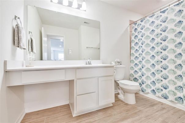 Bathroom, Interior, Wood Texture Flooring