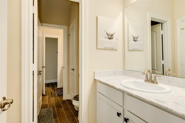 Bathroom, Interior, Wood Texture Flooring