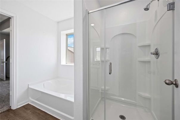 Bathroom, Glass Shower, Interior, Wood Texture Flooring