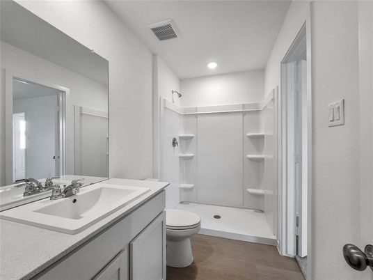 Bathroom, Interior, Recessed Lighting, Wood Texture Flooring