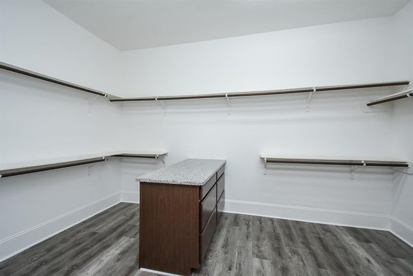Interior, Walk-in Closets, Wood Texture Flooring