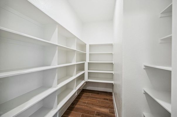 Interior, Walk-in Closets, Wood Texture Flooring