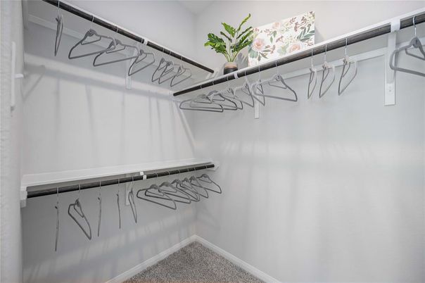 Interior, Walk-in Closets