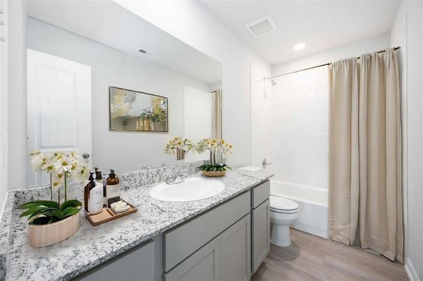 Bathroom, Interior, Recessed Lighting, Wood Texture Flooring