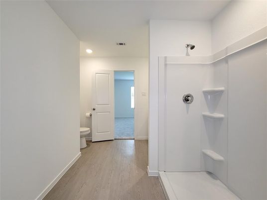 Bathroom, Interior, Recessed Lighting, Wood Texture Flooring
