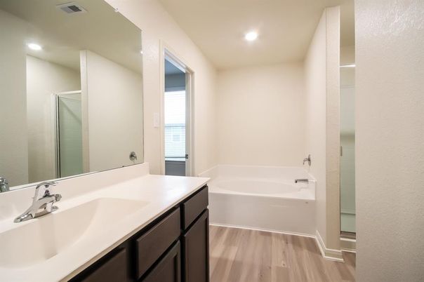 Bathroom, Interior, Recessed Lighting, Wood Texture Flooring