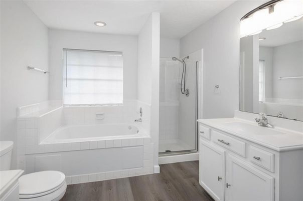 Bathroom, Interior, Recessed Lighting, Wood Texture Flooring