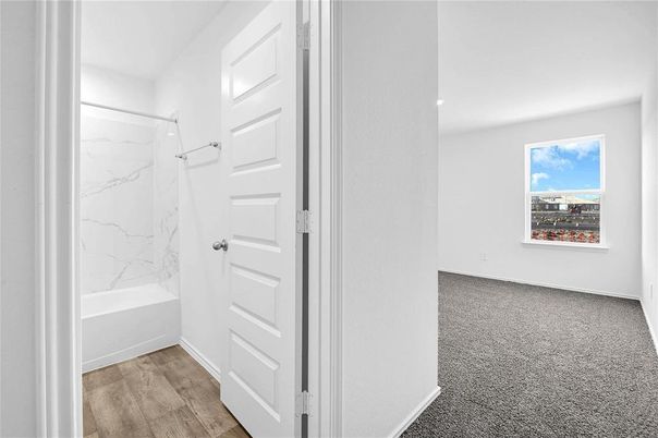 Bathroom, Interior, Marble Walls, Wood Texture Flooring
