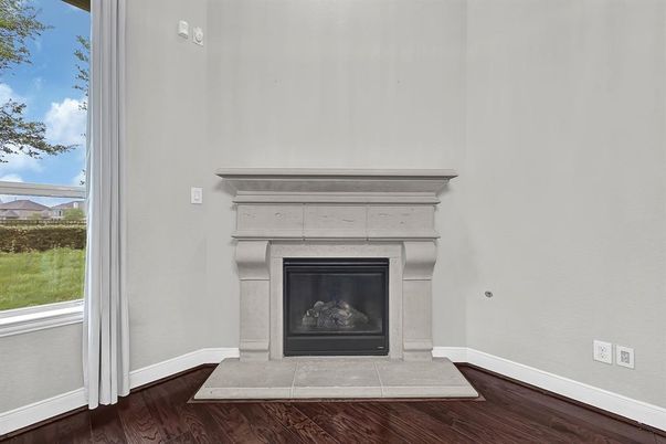 Fireplace, Interior, Wood Texture Flooring
