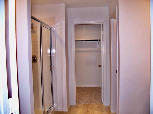 Bathroom, Glass Shower, Interior, Wood Texture Flooring