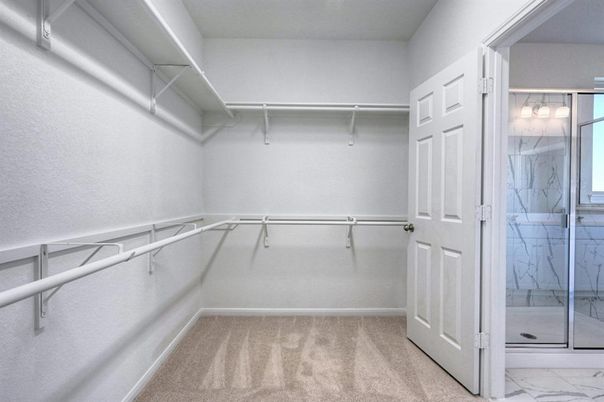 Interior, Marble Walls, Walk-in Closets