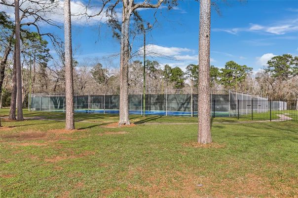Exterior, Tennis Courts