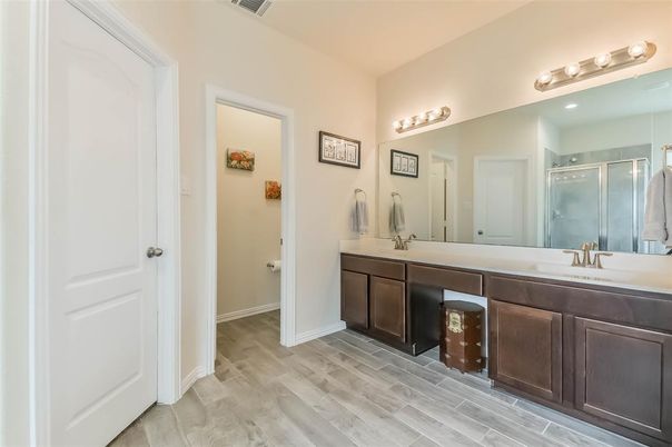Bathroom, Dual Sink Vanities, Interior, Wood Texture Flooring