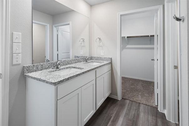 Bathroom, Dual Sink Vanities, Interior, Walk-in Closets, Wood Texture Flooring