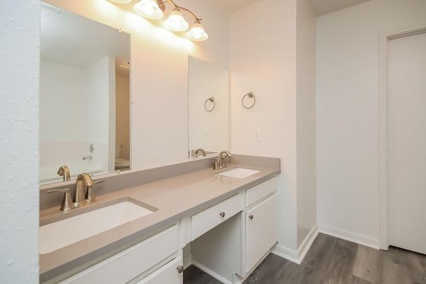 Bathroom, Dual Sink Vanities, Interior, Wood Texture Flooring