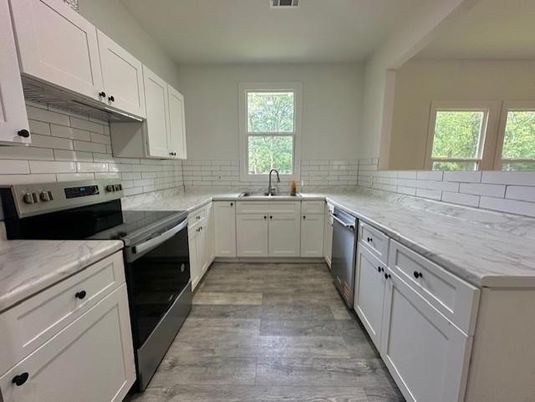 Interior, Kitchen, Stainless Steel Appliances, Wood Texture Flooring