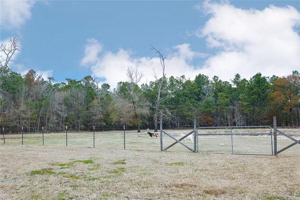 Exterior, Tennis Courts